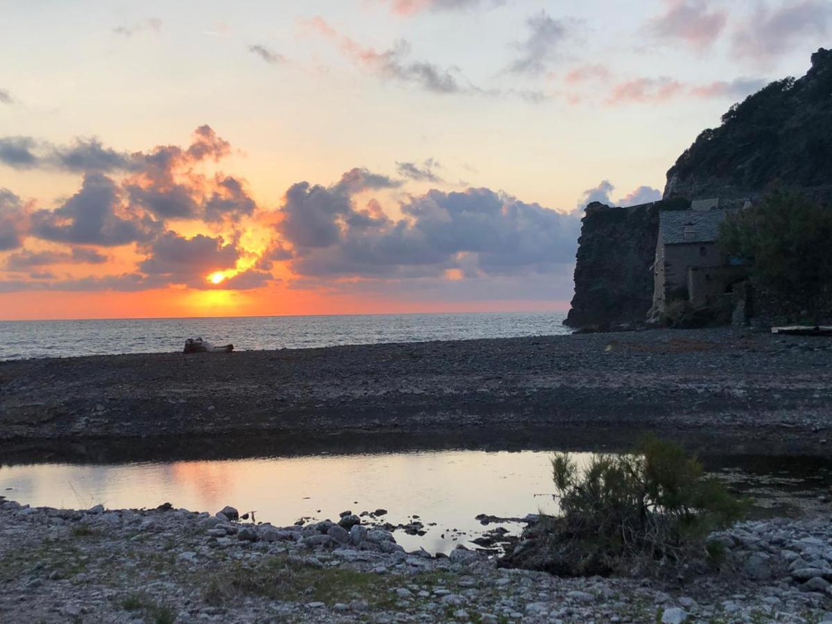 Cap Corse - Grande Maison Au Bord De Mer - Pmr Grillasca エクステリア 写真